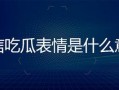 微信上吃瓜表情是什么意思,网络社交中的趣味解读