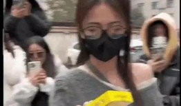 娱乐吃瓜酱戴上了手铐,揭秘幕后真相